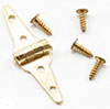 (image for) Triangle Brass Hinges